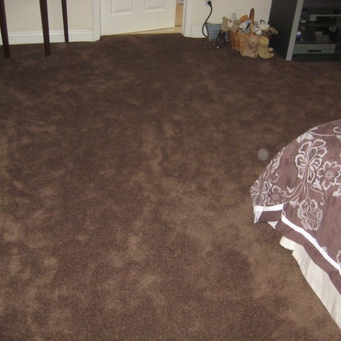 Living Room Carpet In Los Angeles